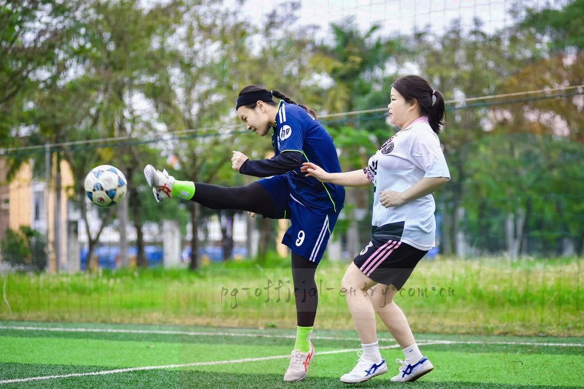 已更新、待复核、已归档三态图例，以青瓷绿、铜金、灰蓝区分并配文字标签